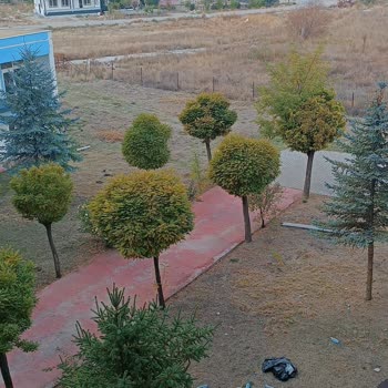 Dora Thermal Tatil Köyü & SPA Belirtilen Süre İçinde Hiçbir Ödeme Yapılmadı