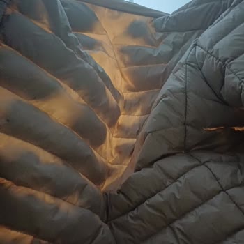 Montta Şiddetli Tüy Dökülmesi Ve Garanti Sürecinde Çözüm Bulunamaması