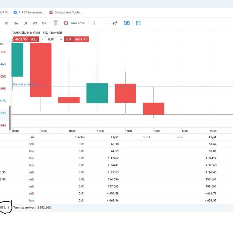 Neta Yatırım Sitesi Kapalı, 593 Dolar Çekim Yapılamıyor