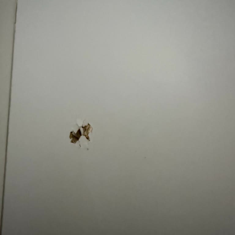 Teslimat Randevularına Uyulmaması Nedeniyle 18.000 TL İade Talebi