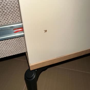 Defolu Yatak Odası Takımı, Servis Gecikmesi Ve İade Talebi