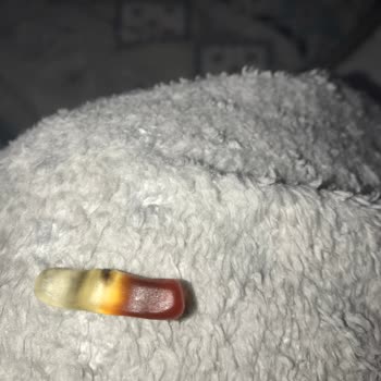 Şok Market Haribo Jelibon Paketi İçinde Böcek Gıda Güvenliğini Tehlikeye Attı