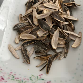 Tadım Çekirdeğinde Kabukların Anında Parçalanması Ve Tüketim Keyfi Bozulması