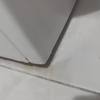 Bosch Çamaşır Makinesinde Hızlı Paslanma Ve Ücretsiz Parça Değişimi Talebi