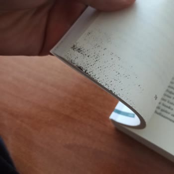 Kitapta Baskı Ve Mürekkep Hataları, Hızlı İade Ve Özür Talebi