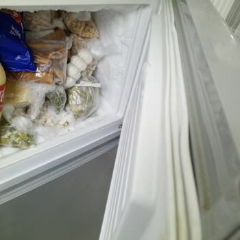 Beko Buzdolabımın Sürekli Buzlanması Ve Uzun Servis Gecikmesi Nedeniyle Değişim Talebi