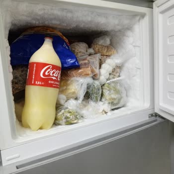 Beko Buzdolabımın Sürekli Buzlanması Ve Uzun Servis Gecikmesi Nedeniyle Değişim Talebi