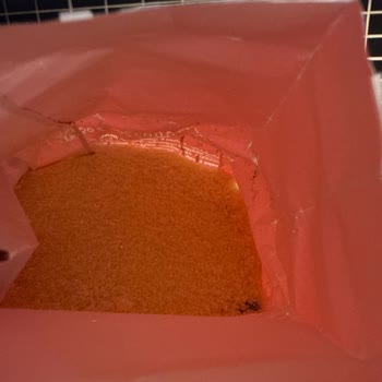 Filiz İrmiğinde Kelebek Böcek Bulunması Ve Gıda Güvenliği Endişesi