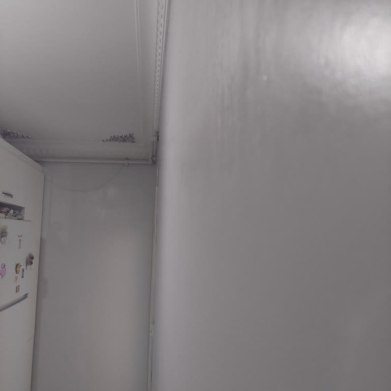 Marshall Boyası Sonrası Duvarlarda Terleme Ve Nem Sorunu