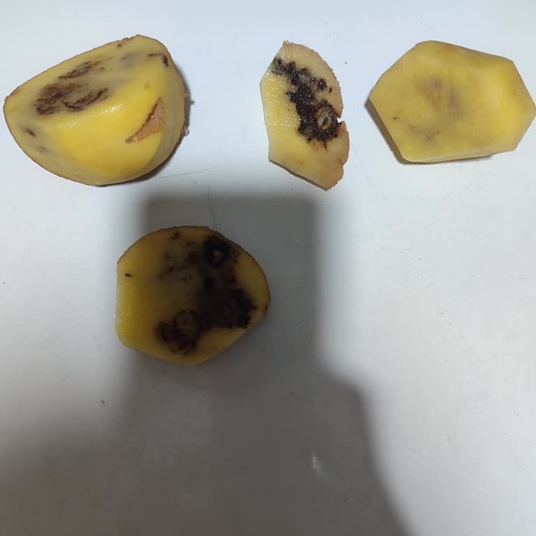 Şok Market’ten Bozuk Patatesler İçin İade Talebi