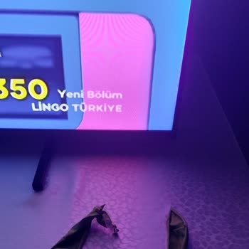 A101'de Satın Alınan Philips Televizyonda Uydu Sinyali Sorunu Ve Değişim Talebi