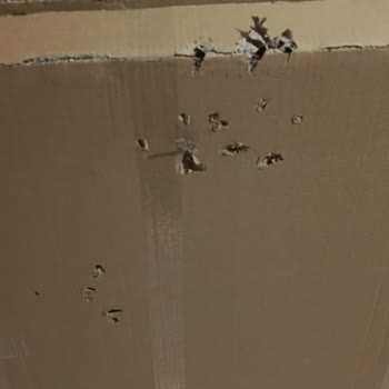 Kolay Gelsin Kargo’da Bilerek Zarar Verilen Kargo Taşıma Şekli İncelenmesi Gerekiyor