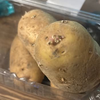 Yemeksepeti Market Filizlenmiş Patates İçin İade Reddedildi, Destek Görmezden Geldi