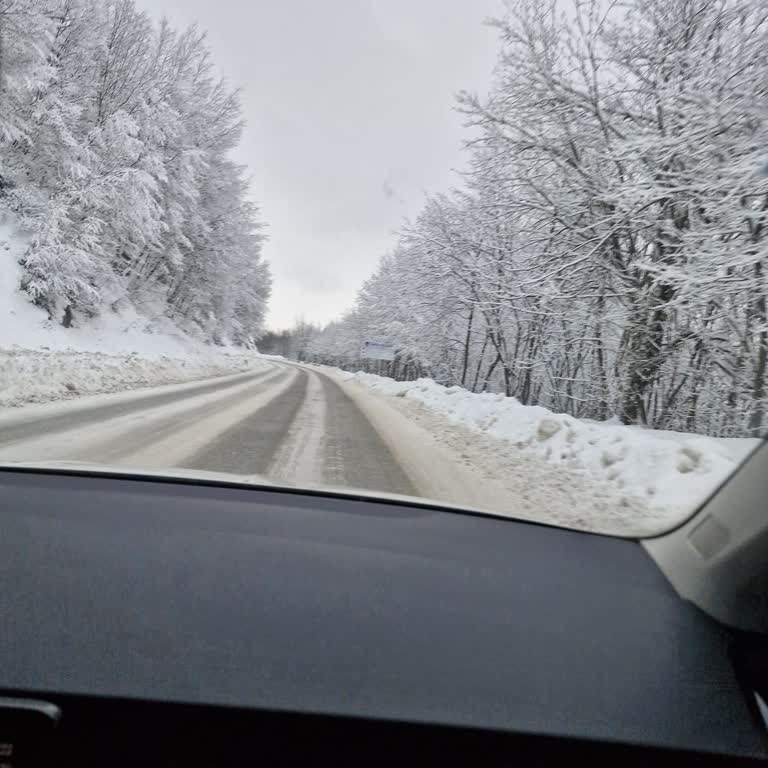 Halalbooking.com'dan İade Edilmemiş 320 Euro Ve Hayati Tehlike Mağduriyetim