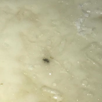 Tozlu Kıbrıs Tatlısı İçin Hijyen İhlali Ve İade Talebi