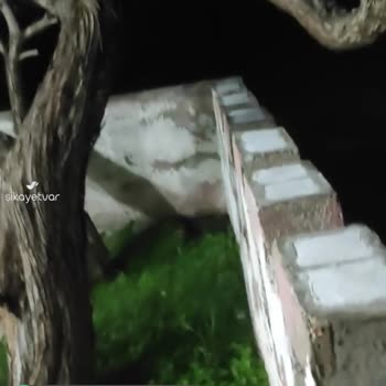Gediz Elektrik Perakende Zifiri Karanlık Deniz Kıyısı