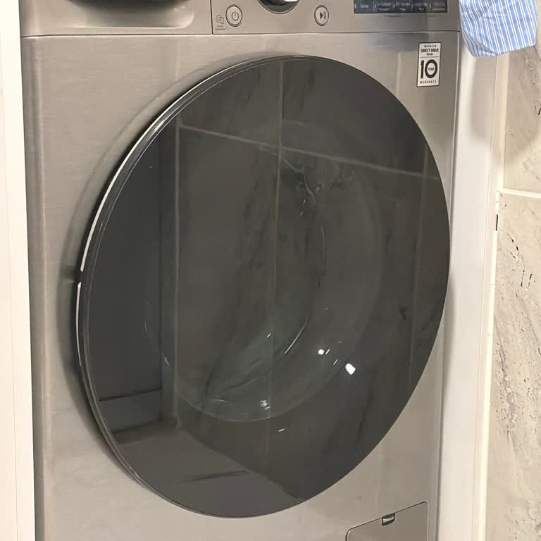 Temiz Yıkama Sağlamayan LG Çamaşır Makinesi İçin Değişim Talebi