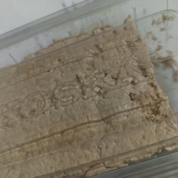 Koska 500 Gr Sade Tahin Helvası Beklenen Susam Tadını Veremiyor