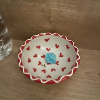 Hijyen Eksikliği, Tahtakurusu Ve Sıcak Su Sorunu Nedeniyle İade Talebi