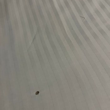 Hijyen Eksikliği, Tahtakurusu Ve Sıcak Su Sorunu Nedeniyle İade Talebi