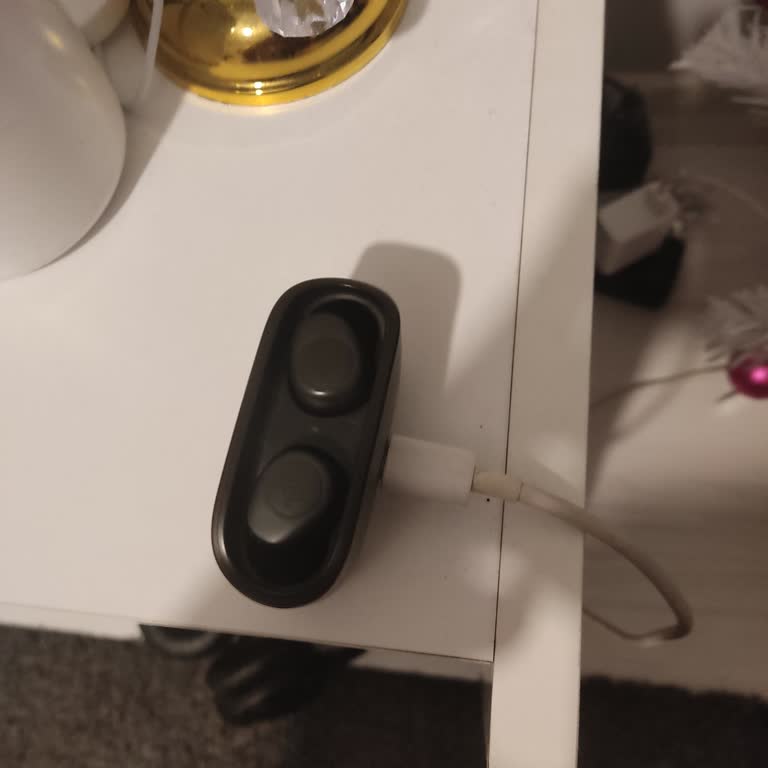 JBL TWS 100 Şarj Standı Çalışmıyor, Garanti Talebi