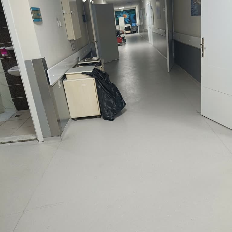 Tepecik Hastanesinde Fare Görülmesi Ve İlgisiz Personelin Hijyen İhmali