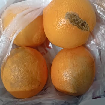 Çürük Meyveler İçin Tam İade Ve Özür Talebi