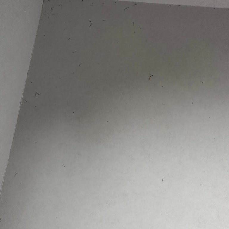 Beymen Kıl Dolu Ugg Ayakkabısı Ve Cevapsız Müşteri Hizmetleri Hayal Kırıklığı