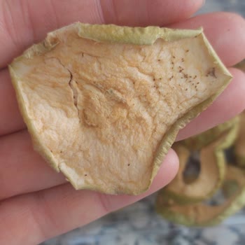 Yemiş Marka Elma Kurusunda Kurtlanma Ve Böceklenme: Ücret İadesi Ve Uyarı Talebi