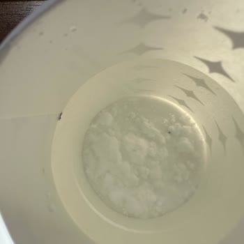 Kingsize Creatine Ürünün İçinde Yabancı Madde Ve Hijyen Sorunu