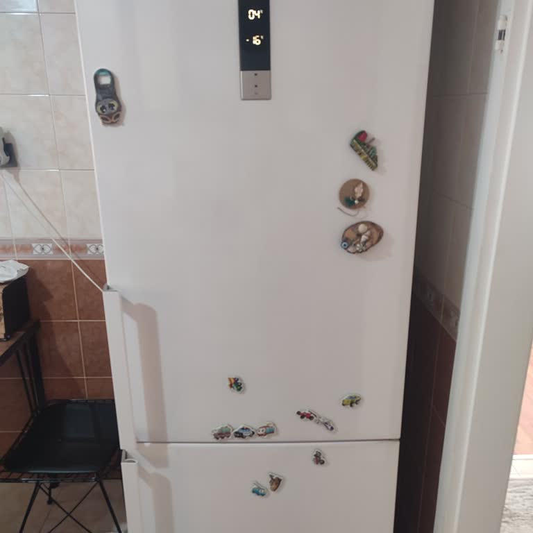 Vestel Çamaşır Makinesi Ve Buzdolabı Sürekli Arızalı Servis Ücretleri Çılgın