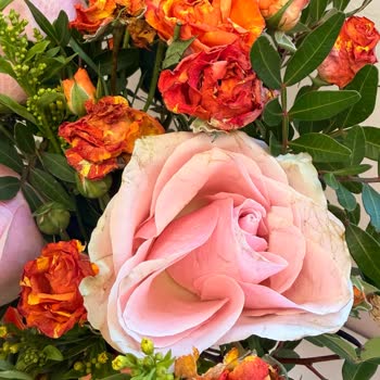 Ölü Çiçek Teslimatı Ve Müşteri Hizmetlerinin Çözüm Eksikliği