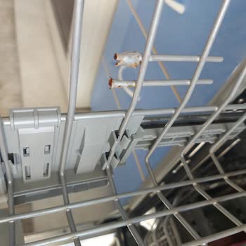 Arçelik Bulaşık Makinesi Sepeti Paslanması Ve Ücretsiz Değişim Talebi