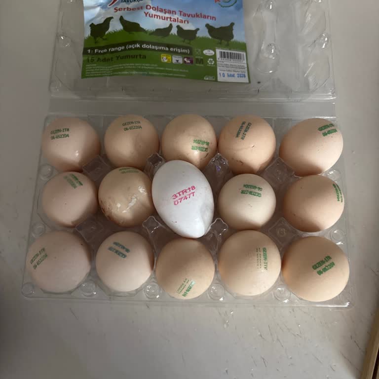 Aybar Tavukçuluk'ta Gezen Tavuk Paketi İçine Gizli Kümes Yumurtası Konulması