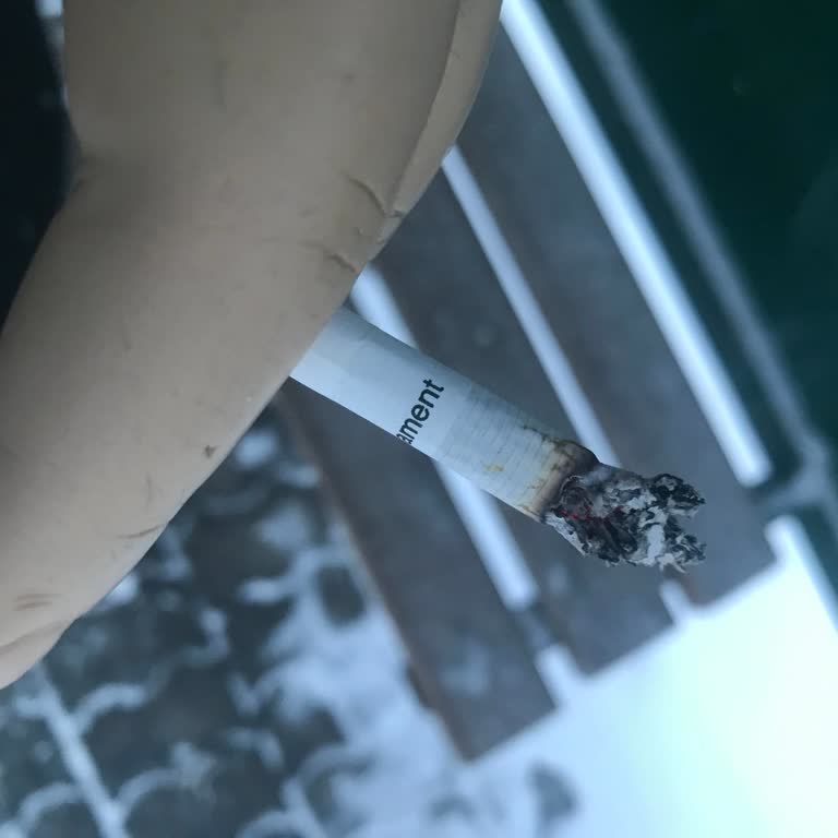 Parlement Sigara'larında Odun Parçası Benzeri Sert Parçalar: Kalite Düşüşü Ve Sağlık Riski