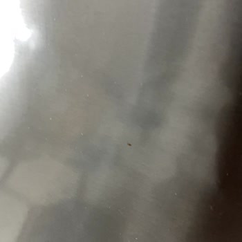 Siemens Buzdolabımın Inox Kapakta Kronik Paslanma Ve Ücretsiz Değişim Talebi