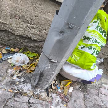 Kaza Sonrası Hasar Dosyam Gerekçesiz Red Edildi İkame Araç Talebim Göz Ardı Edildi