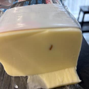 Kaanlar Kaşar Peynirinde Yabancı Cisim Ve Hijyen Sorunu