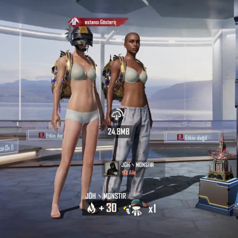 Çalınan PUBG Mobile Hesabımın Geri Dönüşü Ve Yetkisiz Telefon Numarasının Kaldırılması Talebi