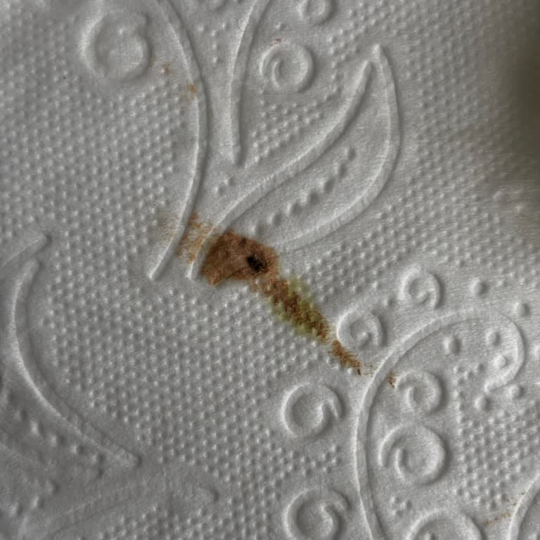 Missha Allığından Çıkan Siyah Yabancı Madde