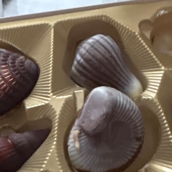 Rossmann’da Satın Alınan Çikolatada Yumurta Ve Kurtlar Var