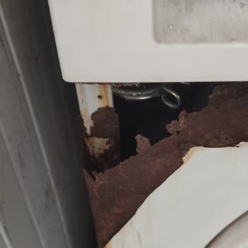 Siemens Çamaşır Makinesinde Çürüme Sorunu Ve Ücretsiz Onarım İsteği