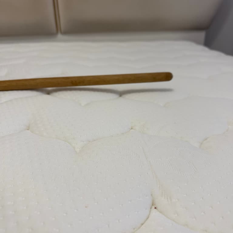 Clima Effect Yatak Sürekli Çöküyor Ve Değişim Reddiyle Karşılaşıyoruz