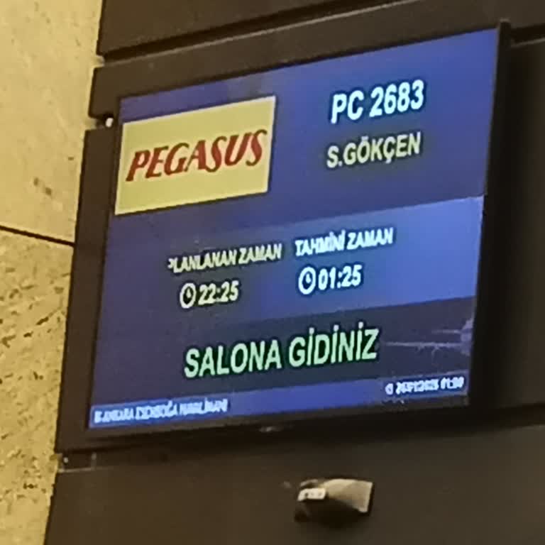 Pegasus İle Uçuş Mağduriyeti