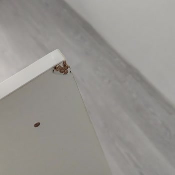 Yanlış Boyutta Yatak Karyolası Ve İade Sürecinde Müşteri Hizmetleri Sorunu