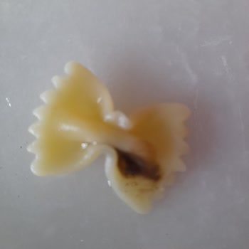 Filiz Makarnada Siyah Parçalar Görüldü