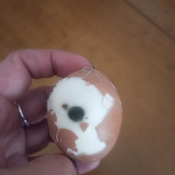 Umut Market'te Satın Alınan Yumurtalarda Siyah Leke Ve Kabuk Renk Farklılığı
