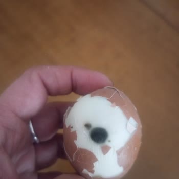 Umut Market'te Satın Alınan Yumurtalarda Siyah Leke Ve Kabuk Renk Farklılığı