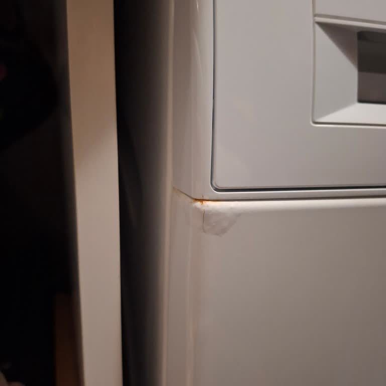 Bosch Marka Seri 2 Çamaşır Makinesinde Paslanma Ve Kabarma Sorunu Garanti Kapsamlı Ücretsiz Servis