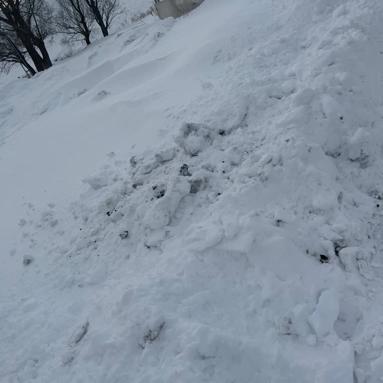 Erzurum Karayazı Tosunlu Mahallesinde Elektrik Kesintisi Ve Karla Kapalı Yol Acil Müdahale Gerekiyor